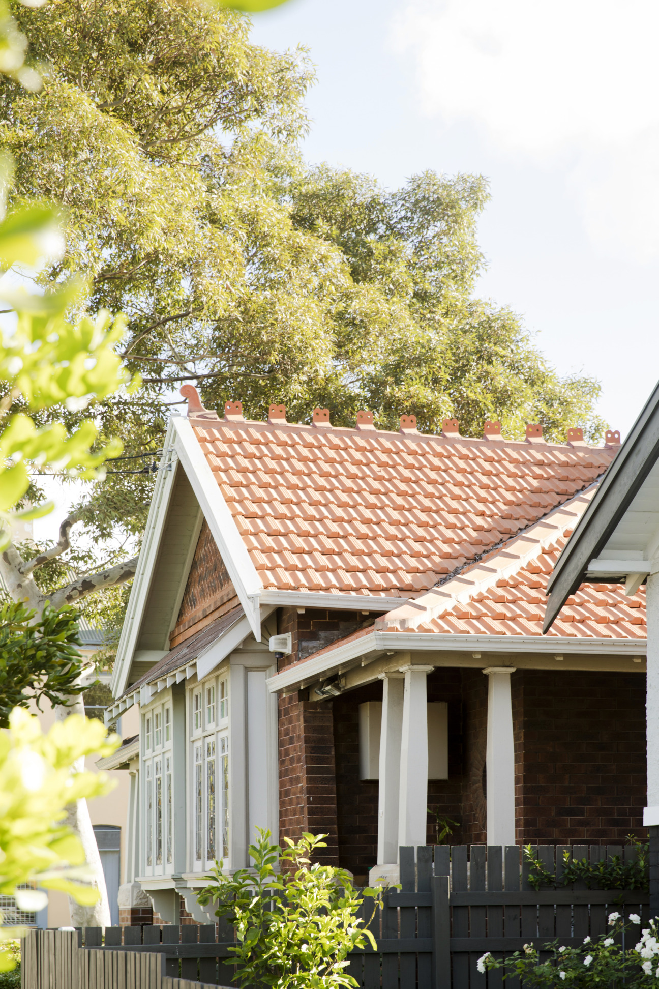 Renovation in Sydney's Crows Nest